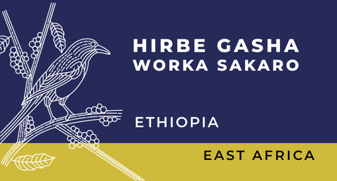 Ethiopia - Hirbe Gasha Worka Sakaro